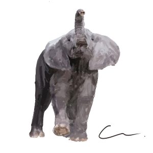 Elefant målad med akvarell.